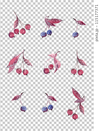 Organic set of berries: rowan and blueberry. Autumn clipart. Art print. Watercolor illustration 115177371