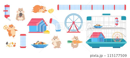 Hamster equipment. Cartoon hamsters, cage tools for playing, eating, drinking and training. Fatty fluffy domestic pets, run wheel, seeds nowaday vector clipart Hamster equipment. Cartoon hamsters, cage tools for playing, eating, drinking and training. Fatty fluffy domestic pets, run wheel, seeds nowaday vector clipart 115177509
