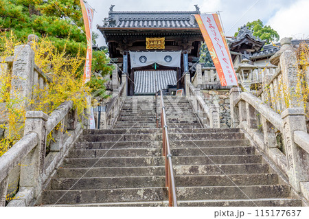 京都府長岡京市 西山 楊谷寺 (柳谷観音) 山門 京都府長岡京市 西山 楊谷寺 (柳谷観音) 山門 115177637