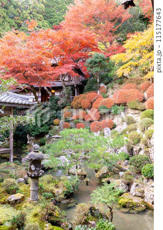 京都府長岡京市 西山 楊谷寺 (柳谷観音) 紅葉の浄土苑 京都府長岡京市 西山 楊谷寺 (柳谷観音) 紅葉の浄土苑 115177643