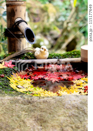 京都府長岡京市 西山 楊谷寺 (柳谷観音) もみじの恋手水(ハート) 京都府長岡京市 西山 楊谷寺 (柳谷観音) もみじの恋手水(ハート) 115177649
