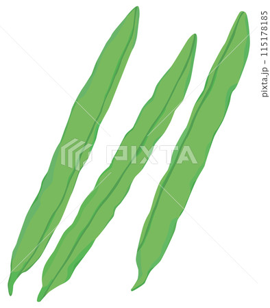 シンプルなインゲンのイラスト ベクター素材 シンプルなインゲンのイラスト ベクター素材 115178185