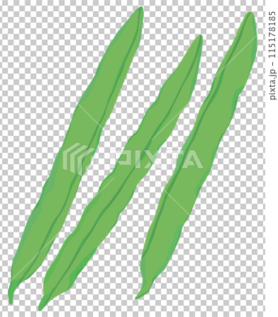 シンプルなインゲンのイラスト ベクター素材 シンプルなインゲンのイラスト ベクター素材 115178185