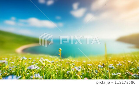 美しい夏の風景 美しい夏の風景 115178580