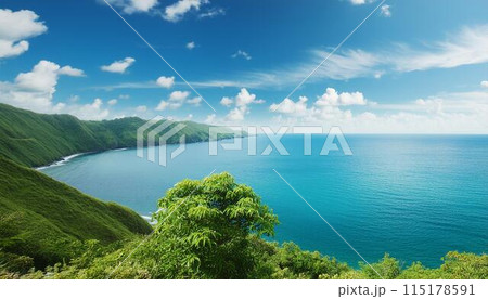 美しい夏の風景 115178591