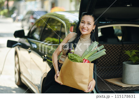 Woman Putting Groceries in Trunk Woman Putting Groceries in Trunk 115178631