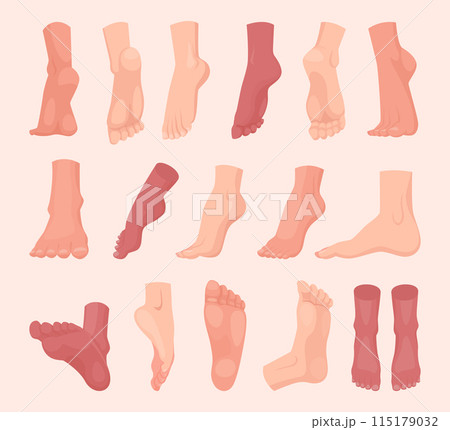 Human legs. Naked feet of people male and female anatomy exact vector barefoot legs collection Human legs. Naked feet of people male and female anatomy exact vector barefoot legs collection 115179032