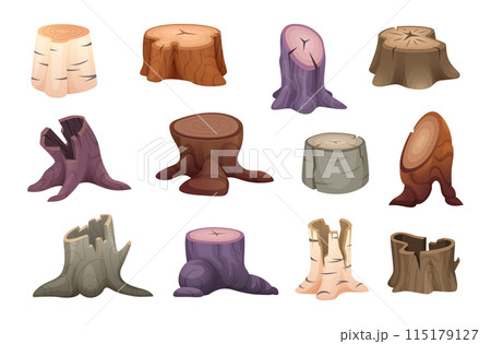 Wooden stumps. Clean cut down tree and old oak wooden stumps exact vector cartoon isolated illustrations 115179127