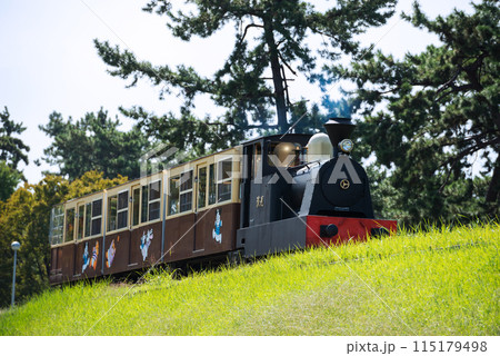 浜寺公園の風景 浜寺公園の風景 115179498