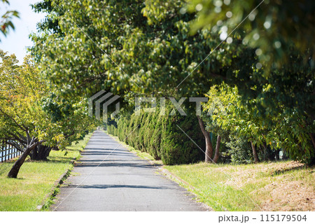 浜寺公園の風景 115179504