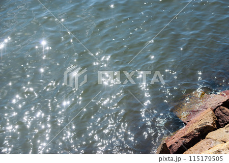 浜寺公園の風景 115179505
