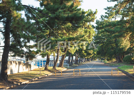 浜寺公園の風景 115179556