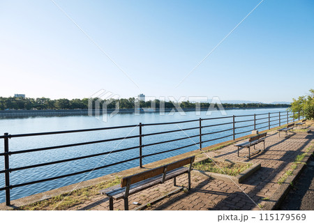 浜寺公園の風景 浜寺公園の風景 115179569
