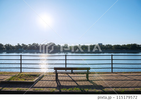 浜寺公園の風景 115179572