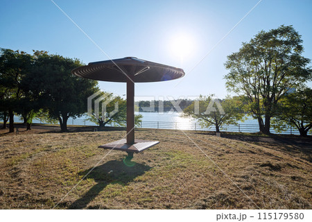 浜寺公園の風景 浜寺公園の風景 115179580