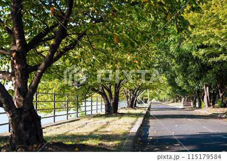 浜寺公園の風景 浜寺公園の風景 115179584