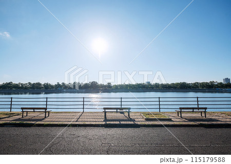 浜寺公園の風景 115179588