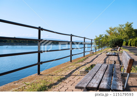 浜寺公園の風景 115179593