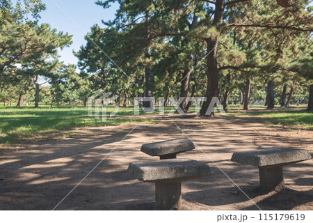 浜寺公園の風景 115179619