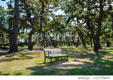 浜寺公園の風景 115179647