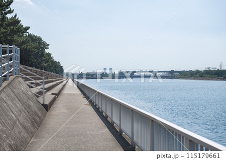 浜寺公園の風景 浜寺公園の風景 115179661