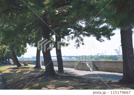 浜寺公園の風景 115179667