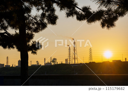 浜寺公園の風景 浜寺公園の風景 115179682