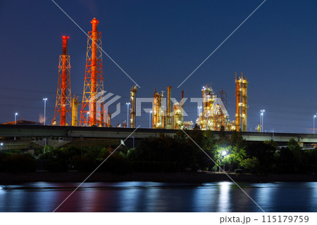 浜寺公園の風景 浜寺公園の風景 115179759