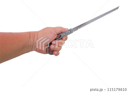 Hand hold a drywall saw or utility saw, also referred to as a plasterboard or jab saw. 115179810