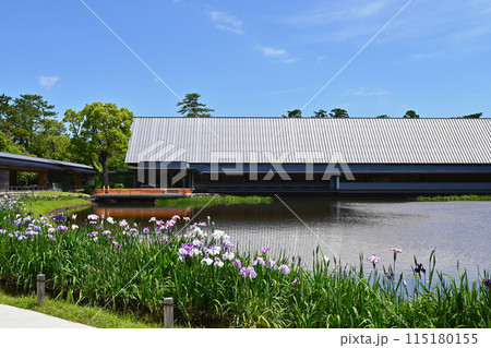 花菖蒲咲く勾玉池 伊勢神宮せんぐう館と花菖蒲 外宮勾玉池の花しょうぶ 伊勢志摩観光スポット 花菖蒲咲く勾玉池 伊勢神宮せんぐう館と花菖蒲 外宮勾玉池の花しょうぶ 伊勢志摩観光スポット 115180155
