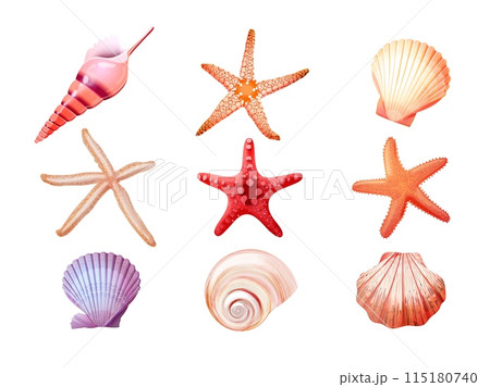 Realistic seashells starfish. 3d star fish clam conch seashell coastal beach travel elements, sea shells underwater aquarium marine animal mollusk scallop exact vector illustration 115180740