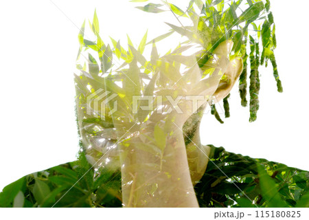 A double exposure portrait of a man merged with a photo of green leaves A double exposure portrait of a man merged with a photo of green leaves 115180825