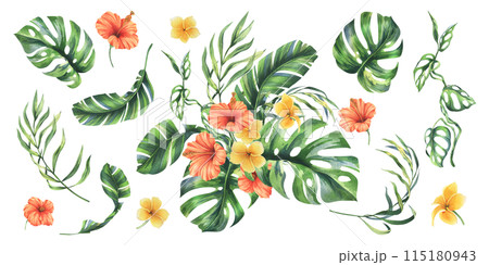 Tropical palm leaves, monstera and flowers of plumeria, hibiscus, bright juicy. Hand drawn watercolor botanical illustration. Set of elements isolated from background Tropical palm leaves, monstera and flowers of plumeria, hibiscus, bright juicy. Hand drawn watercolor botanical illustration. Set of elements isolated from background 115180943