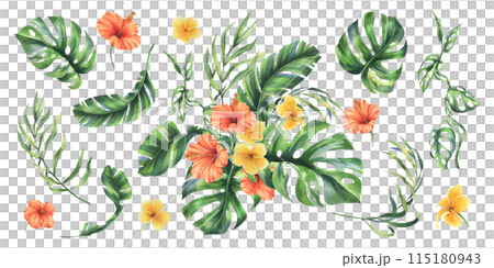Tropical palm leaves, monstera and flowers of plumeria, hibiscus, bright juicy. Hand drawn watercolor botanical illustration. Set of elements isolated from background Tropical palm leaves, monstera and flowers of plumeria, hibiscus, bright juicy. Hand drawn watercolor botanical illustration. Set of elements isolated from background 115180943