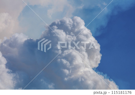 Controlled hazard reduction burning of trees and bushland in the Blue Mountains Controlled hazard reduction burning of trees and bushland in the Blue Mountains 115181176