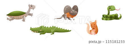 Cute Australian Animals and Endemic Fauna Vector Set 115181233
