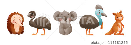 Cute Australian Animals and Endemic Fauna Vector Set 115181236