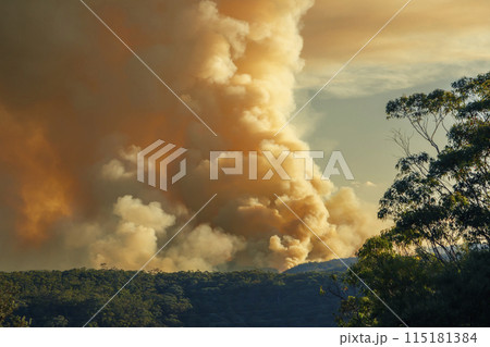 Controlled hazard reduction burning of trees and bushland in the Blue Mountains Controlled hazard reduction burning of trees and bushland in the Blue Mountains 115181384