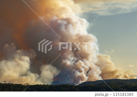 Controlled hazard reduction burning of trees and bushland in the Blue Mountains Controlled hazard reduction burning of trees and bushland in the Blue Mountains 115181385