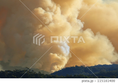 Controlled hazard reduction burning of trees and bushland in the Blue Mountains 115181400