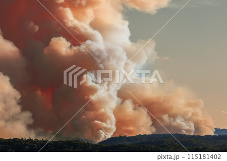 Controlled hazard reduction burning of trees and bushland in the Blue Mountains 115181402