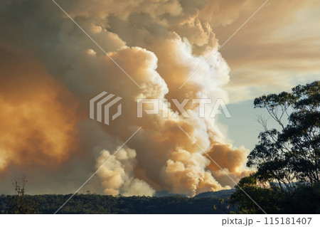 Controlled hazard reduction burning of trees and bushland in the Blue Mountains 115181407