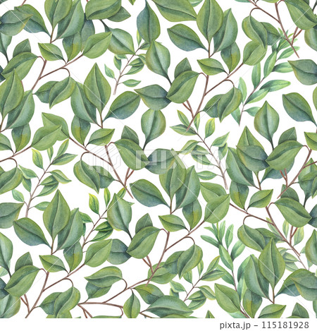 Green abstract leaves. Seamless pattern of lush foliage. Forest leaf plants. Intertwining stems. Watercolor illustration of tree branches. Simple rustic ornate for package, textile 115181928