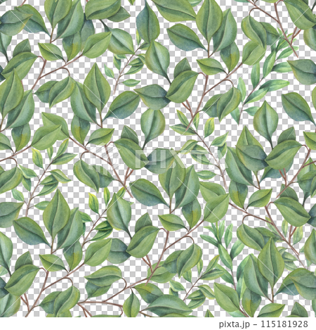 Green abstract leaves. Seamless pattern of lush foliage. Forest leaf plants. Intertwining stems. Watercolor illustration of tree branches. Simple rustic ornate for package, textile 115181928