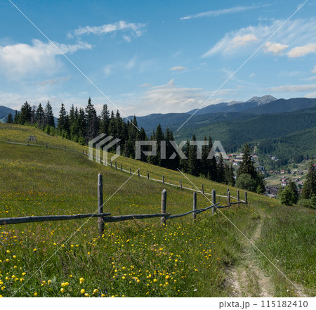 Summer Gorgany massiv mountains scenery view from Sevenei hill (near Yablunytsia pass, Carpathians, Ukraine.) Summer Gorgany massiv mountains scenery view from Sevenei hill (near Yablunytsia pass, Carpathians, Ukraine.) 115182410