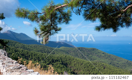 A view from a mountain on the island of Rhodes to the sea.  115182467