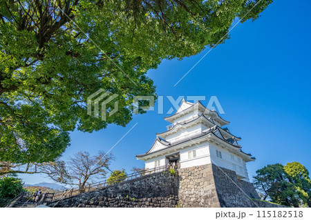 小田原城 天守閣 本丸 本丸広場 小田原城 天守閣 本丸 本丸広場 115182518