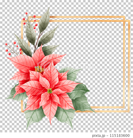 Watercolor Hand drawn illustration Christmas compositions with poinsettia flowers Frame for holiday invitation, card design clipart print new year decor for print, label, invitation design Watercolor Hand drawn illustration Christmas compositions with poinsettia flowers Frame for holiday invitation, card design clipart print new year decor for print, label, invitation design 115183600