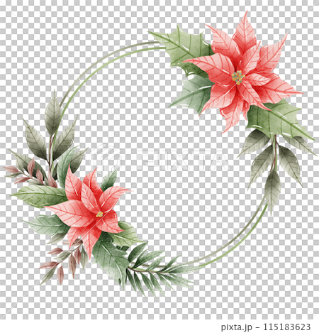 Watercolor Hand drawn illustration Christmas compositions with poinsettia flowers Frame for holiday invitation, card design clipart print new year decor for print, label, invitation design  115183623