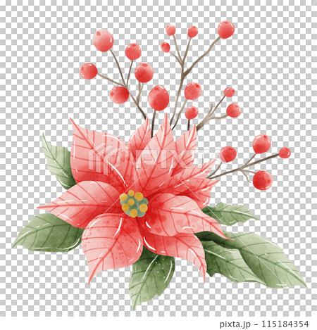 Watercolor Hand drawn illustration Christmas compositions with poinsettia flowers bouquet for holiday invitation, card design clipart print new year decor for print, label, invitation design  115184354